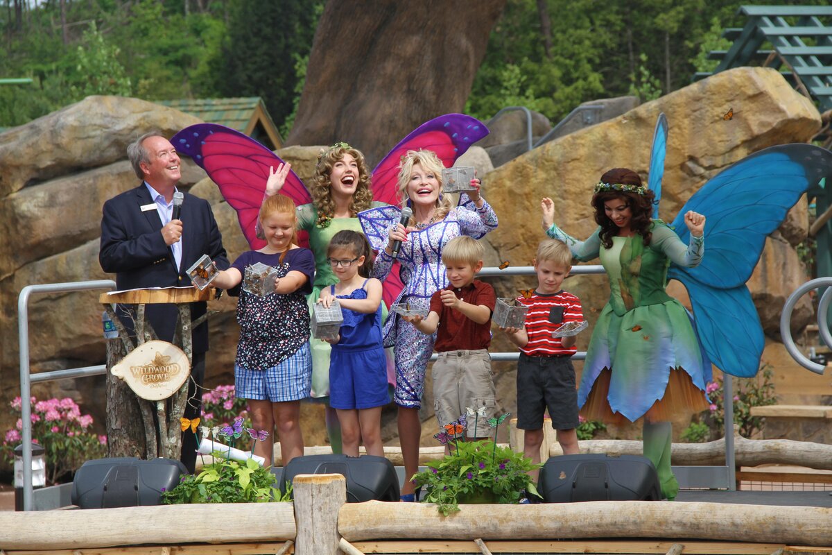 Nighttime butterfly spectacular lighting display